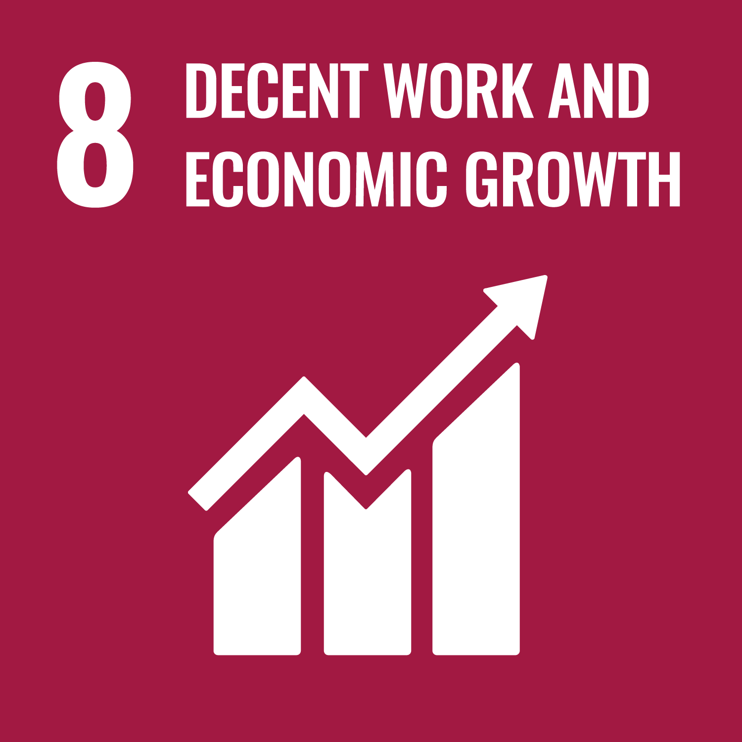 8:Decent Work and Economic Growth