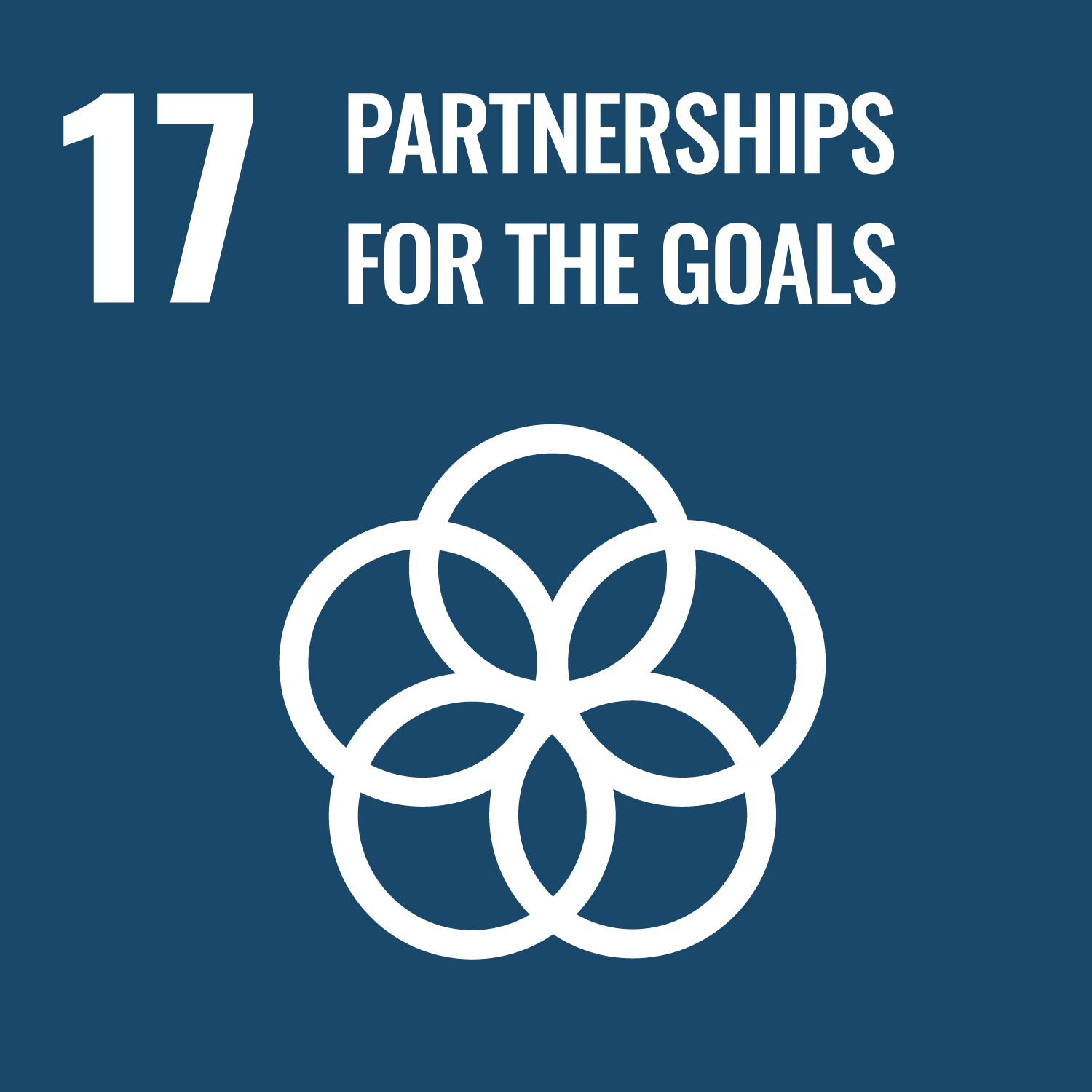 17:Partnerships for the Goals